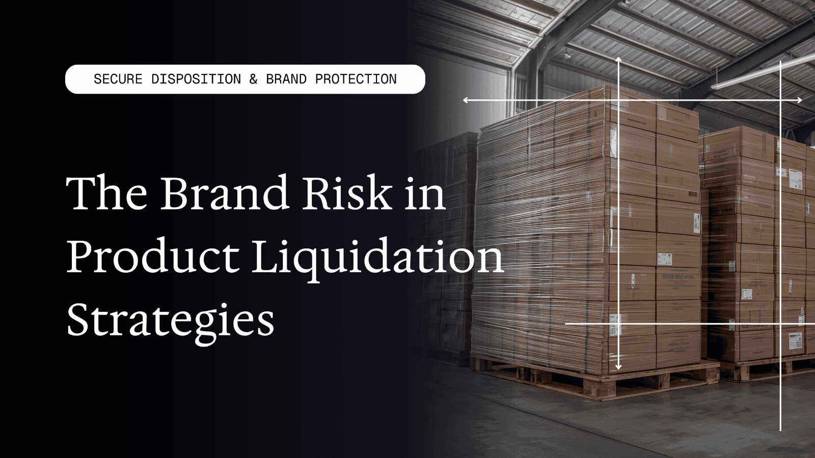 The Brand Risk in Product Liquidation Strategies