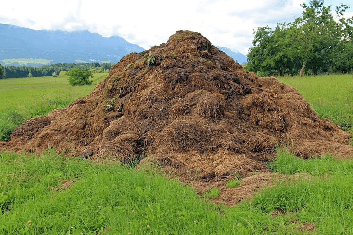 Yard Waste