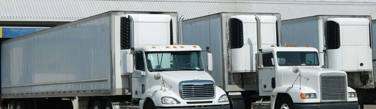 CheckSammy: Reverse Logistics