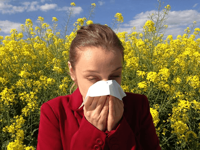 Dust Mites and Allergies