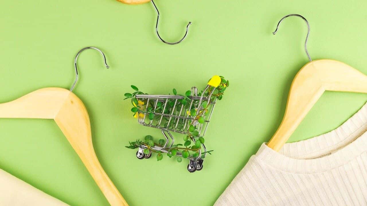 Sustainable Debranding Services: How to Improve Your Business’s Reputation