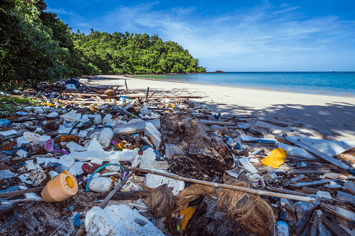 The improper disposal of trash also results in the loss of valuable resources