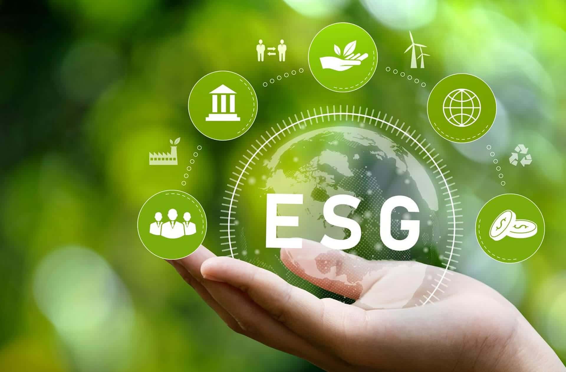 ESG Compliance: How to Elevate Your Business’s ESG Score!