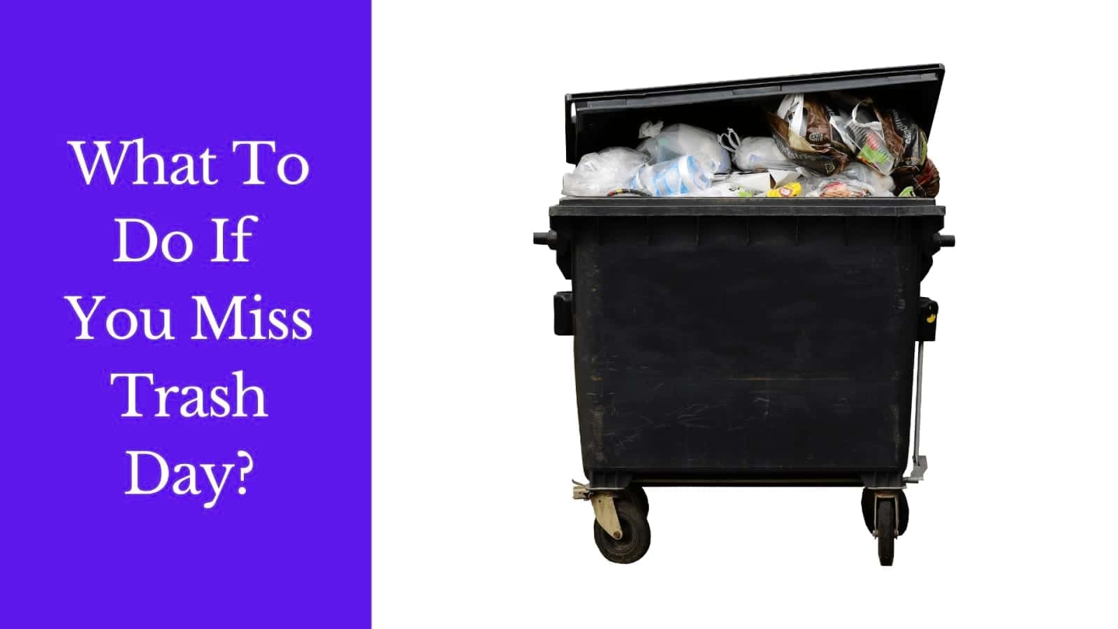 Missed Trash Day? Here's what to do