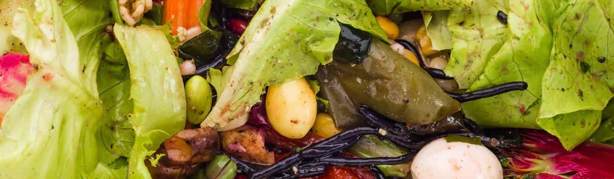 CheckSammy: Anaerobic digestion Food Waste