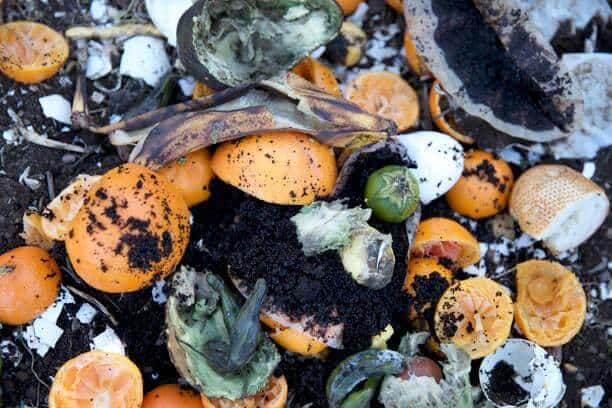 Composting