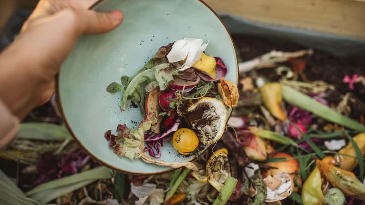 How the Hospitality Industry Can Reduce Food Waste at Summer Events