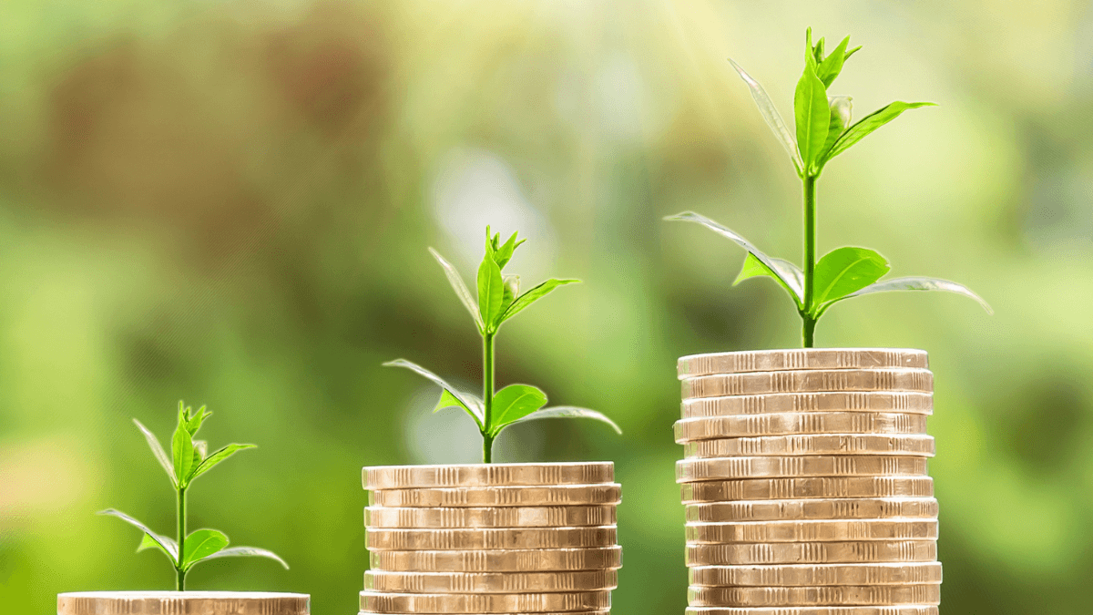 The Economic Benefits of Sustainable Junk Removal