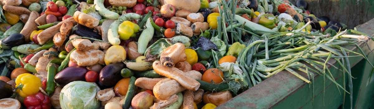 CheckSammy: Pros & Cons of Composting