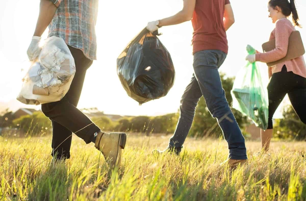 How to Celebrate World Environment Day 2022, Every Day