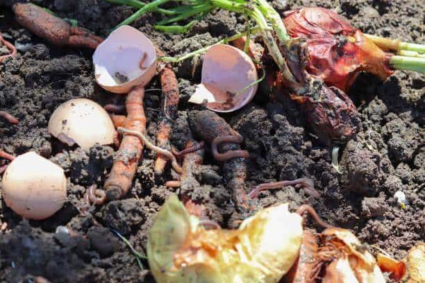 Vermicomposting