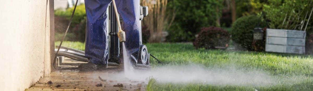 CheckSammy: Power Washing Reduces Pest and Rodent Activity