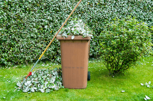 Yard Waste