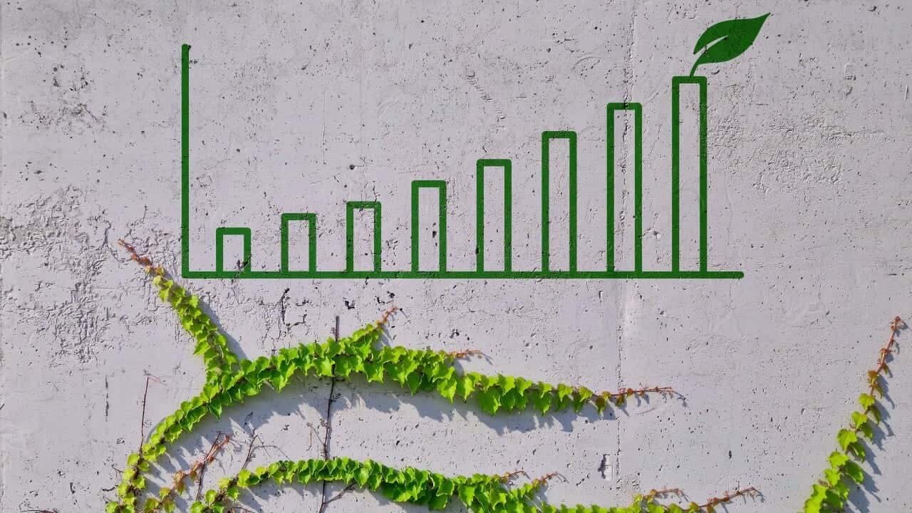 Your Company’s ESG Score: Why Should You Improve It?