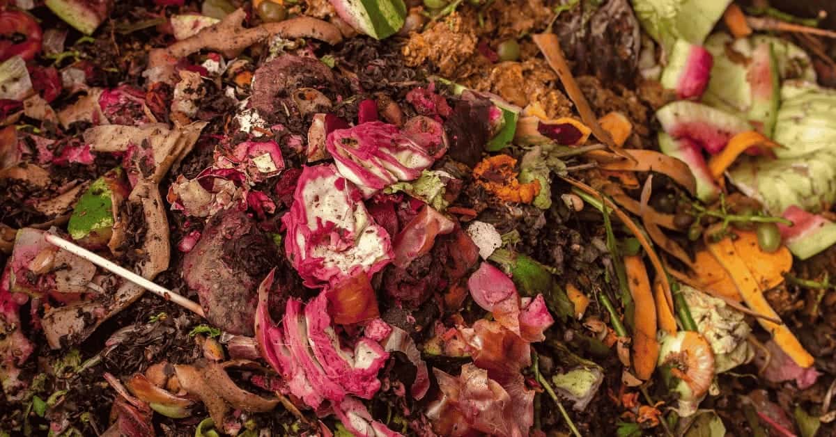 What is Anaerobic Digestion?