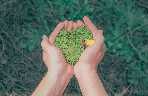 Environmental Benefits of hiring Junk Hauling company