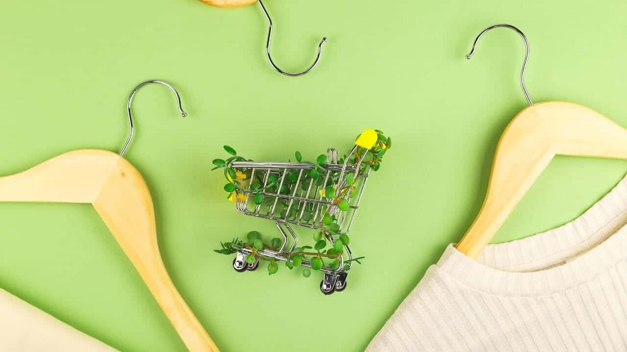 Sustainable Debranding Services: How to Improve Your Business’s Reputation