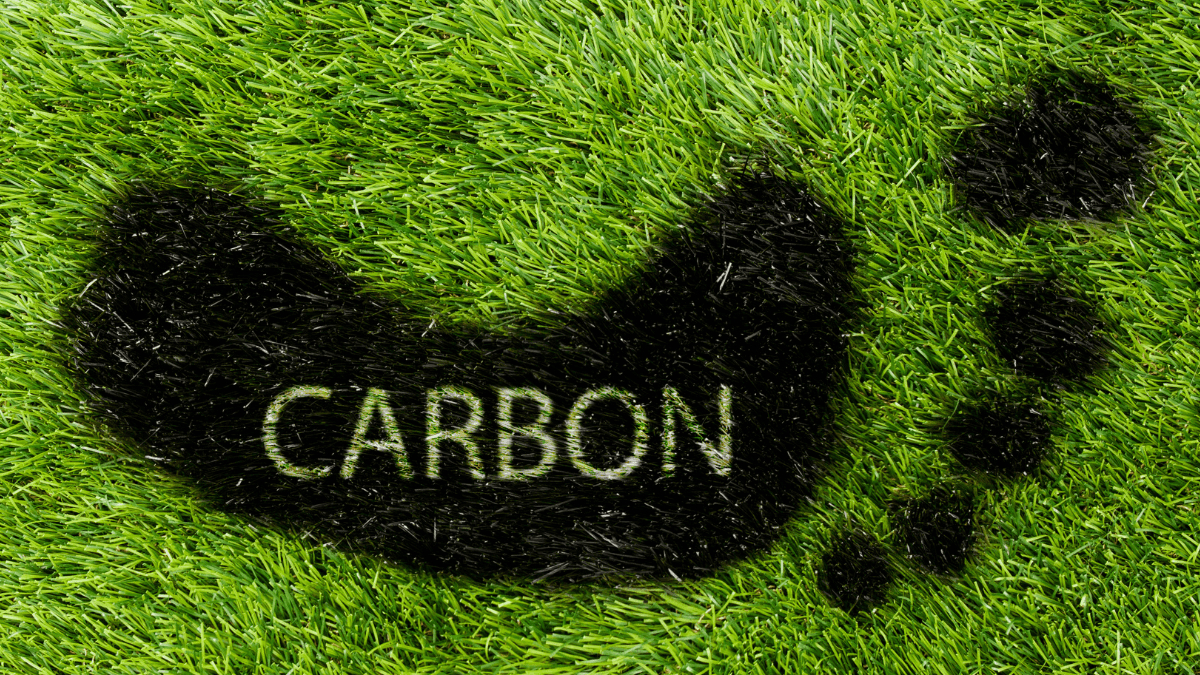Navigating the Climate Challenge: Carbon Offsets vs. Carbon Insets