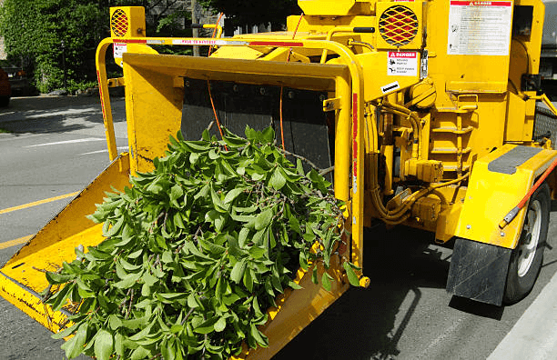 Dumpster Rental