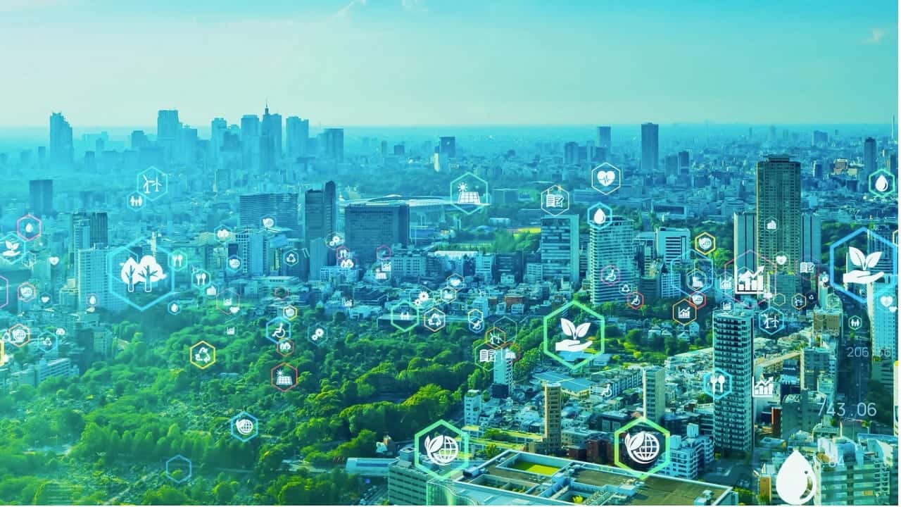 The Science Behind Recycling: What Happens to Your Recycled Materials?