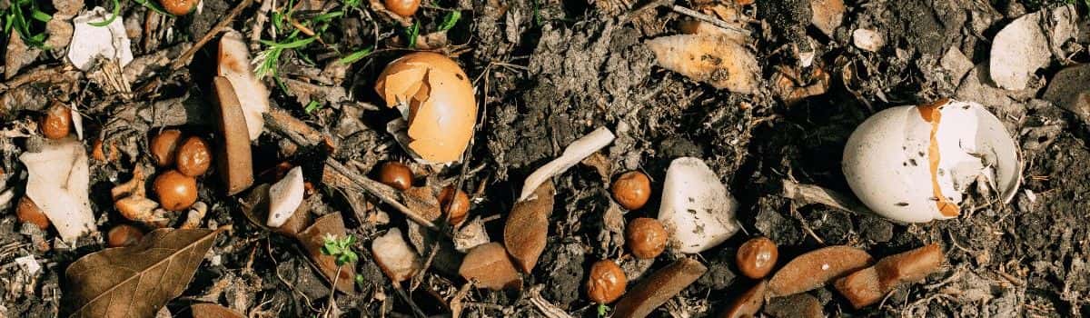 CheckSammy: Pros & Cons of Anaerobic Digestion