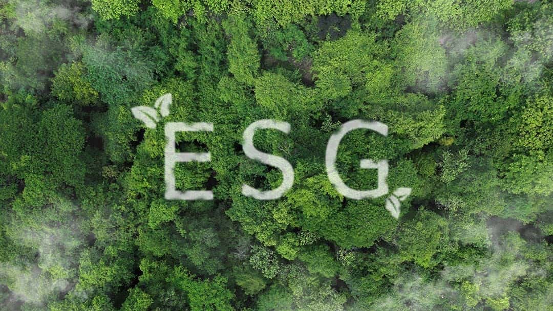 What is a Good ESG Score?