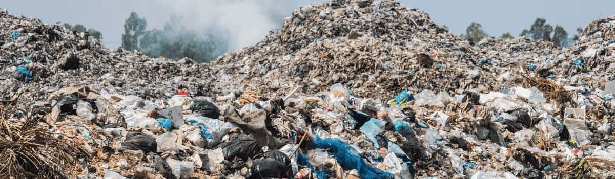 CheckSammy: Future-Proof Your Business with Sustainable Waste Management