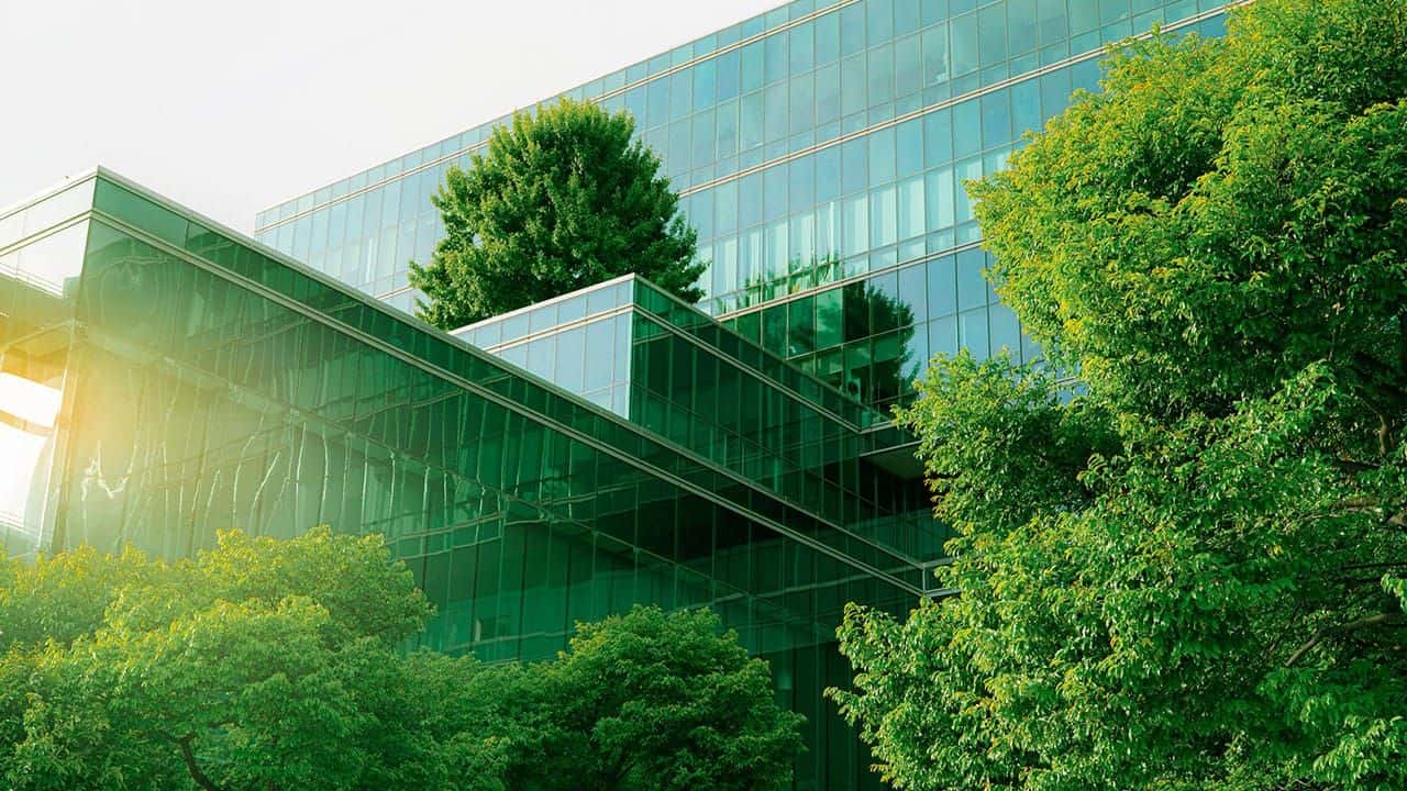 The Power of Sustainability: Future-Proofing Your Business