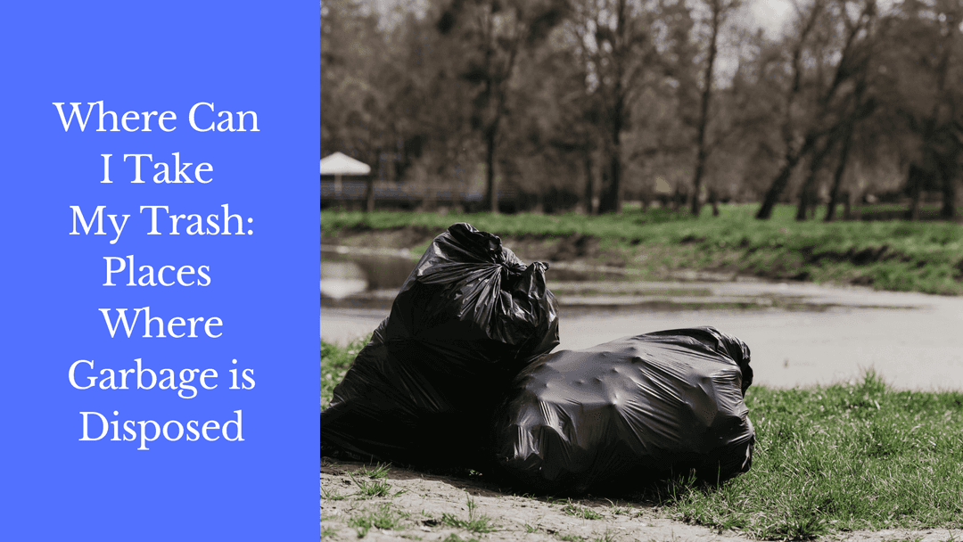 Garbage Check Where does Garbage Go: Places Where Garbage is Disposed