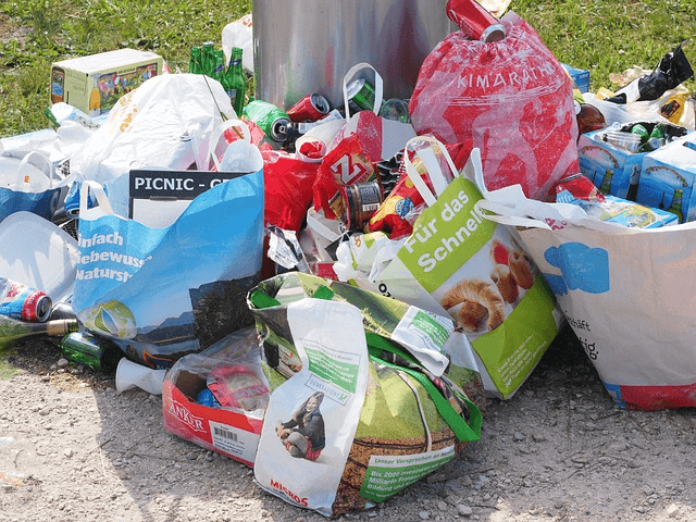 Waste management services offer safety