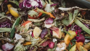 5 Benefits of Organic Recycling and Why It’s Important