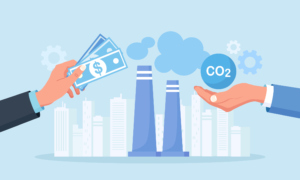 Carbon Credits Explained For Business Owners