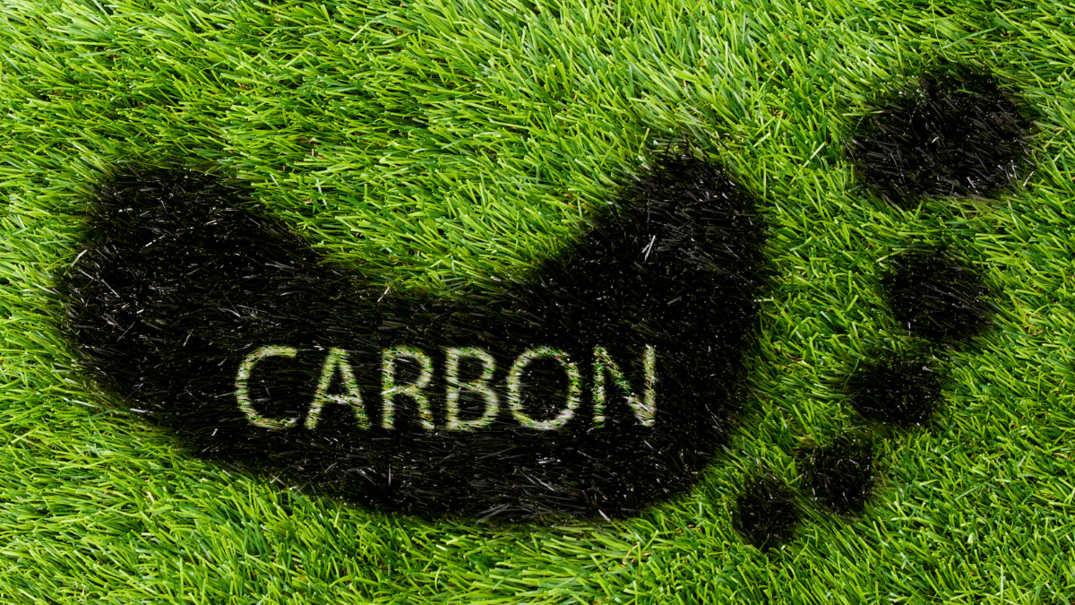 footprint in grass with the word carbon